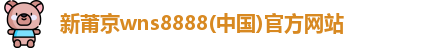 新莆京wns8888